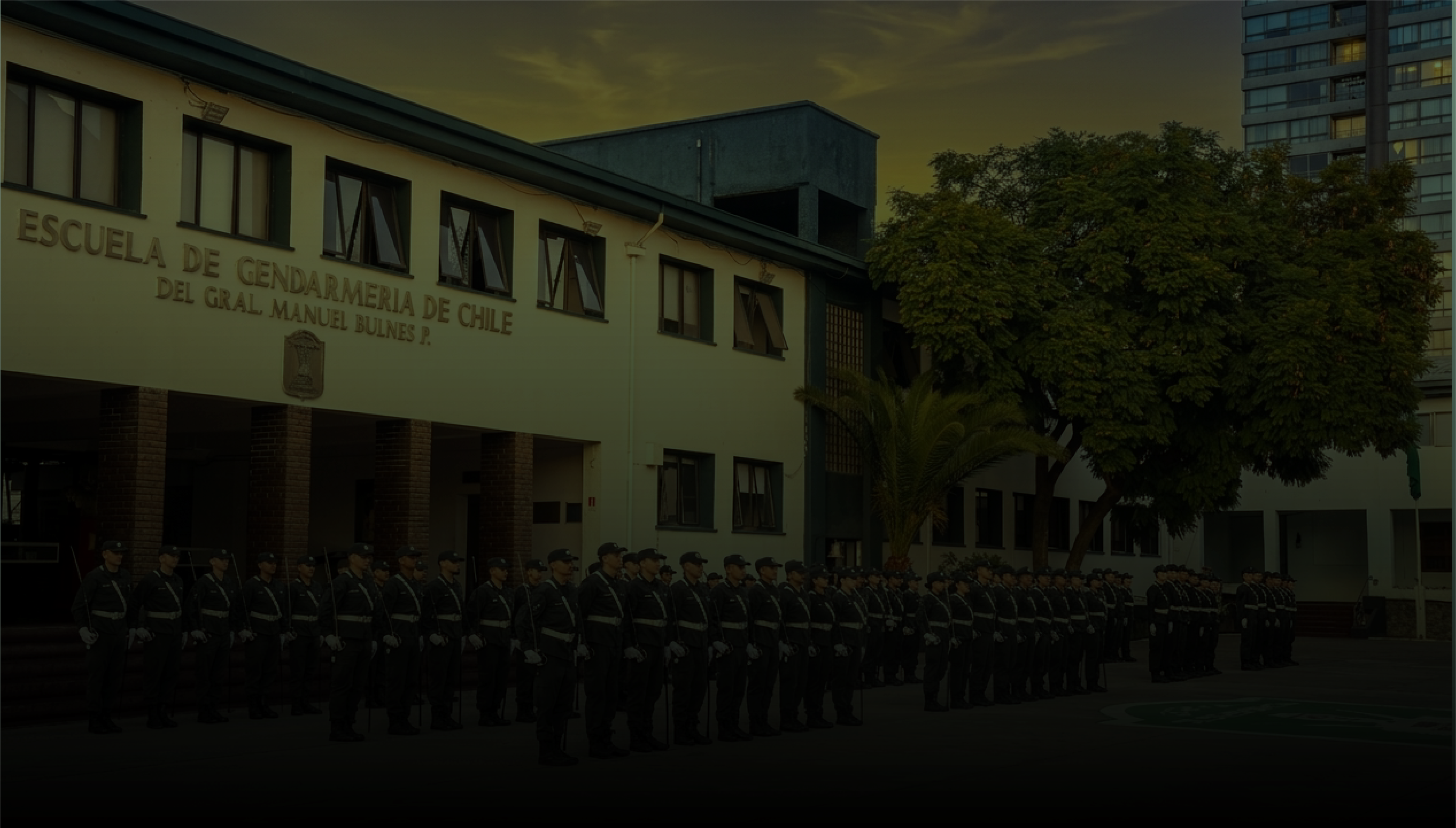 Liderazgo internacional Escuela de Gendarmería